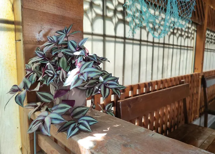 Casa Emelis * Eforie Nord