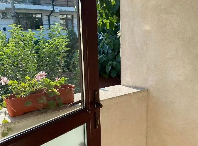 Casa Emelis * Eforie Nord