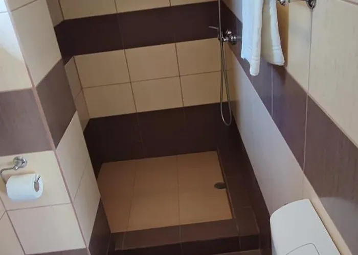 Gazde/Camere de închiriat Casa Emelis