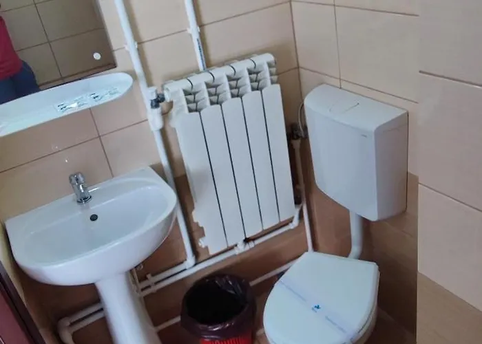 Gazde/Camere de închiriat Casa Emelis